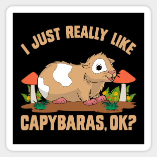 I just really like capybaras, ok? Funny pig Sticker